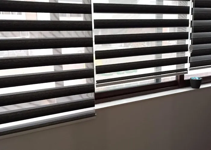 아파트 And Modern Emili